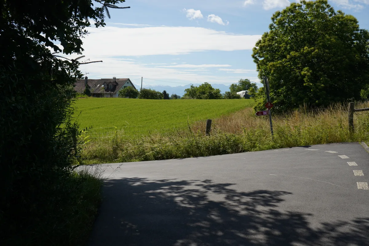 Eine Kurve auf einem Feldweg.
